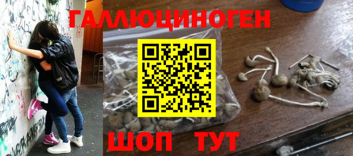 Псилоцибиновые грибы мицелий  Вход с VPN  Галлюциногенные грибы Magic Shrooms  наркотики  Отрадное 