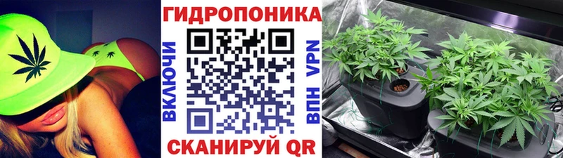 Шишки марихуана OG Kush  Отрадное 